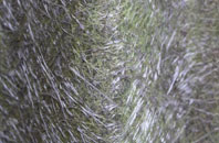 Kedleston fibreglass roof work